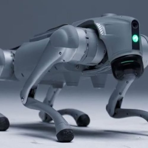 Startup apresenta cão-robô com IA que ‘aprende igual aos humanos’