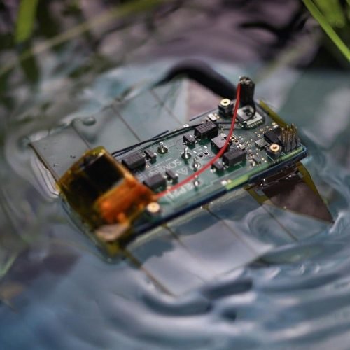 Minirrobô do tamanho de um cartão de crédito monitora ecossistema aquáticos