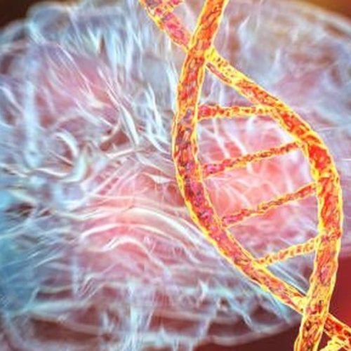 A incrível história do homem que preservou seu cérebro em nome da ciência