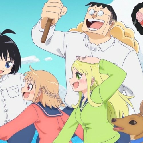 One Piece in Love: spin-off da famosa série vai virar anime em 2025