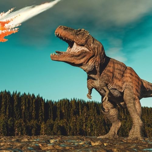 O que aconteceria se os dinossauros não tivessem sido extintos?