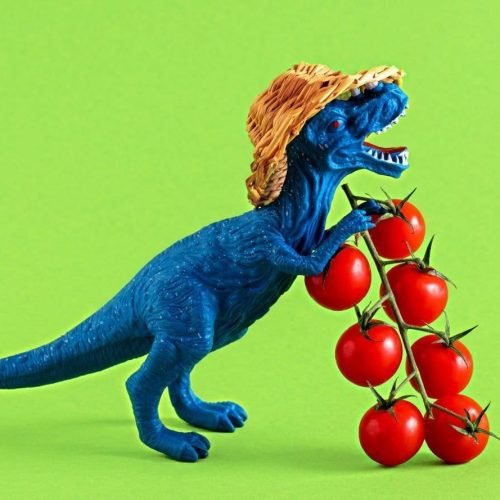 Extinção dos dinossauros e a evolução das frutas: qual é a relação?