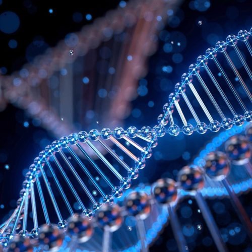 Afinal, o que é a epigenética?
