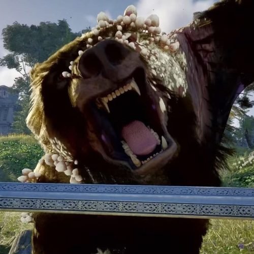 Yu-Gi-Oh!, Skyrim, Fallout e Avowed e mais! Veja as indicações de games da semana