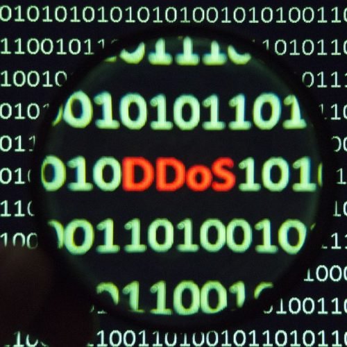 ‘Como termina a ajuda ao regime de Kiev’: municípios dos Países Baixos são atacados hackers russos