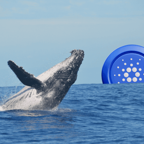 Cardano Whales Accumulate 50M ADA in Just Two Days — Another Rally Cooking?