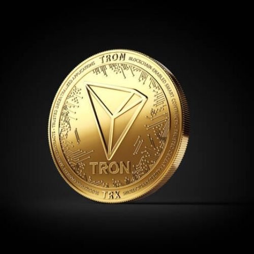 Tron (TRX) Elliott Wave Analysis: Consolidation Phase Before the Move To $0.34?