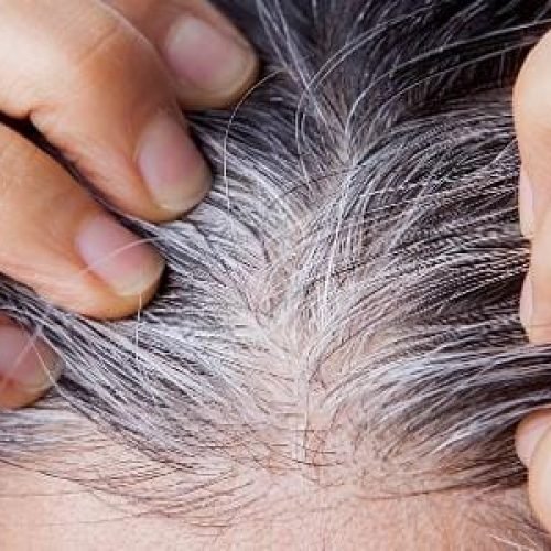 É possível reverter os cabelos brancos? Ciência responde
