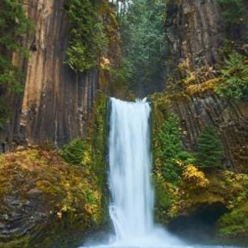 Pequenas reações químicas podem ter sido a origem da vida na Terra