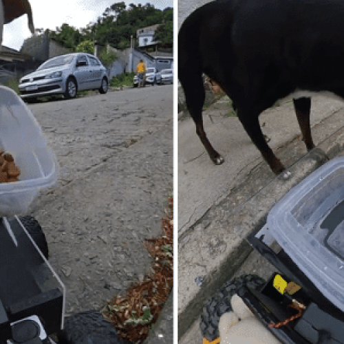 Olha o au-food! Ele criou carrinho-robô pra matar fome de cães na rua