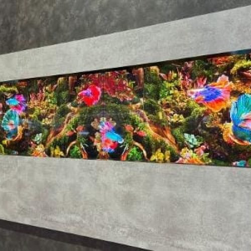 CES 2024: futuro tem TV transparente, sex toys tecnológicos e óculos com IA