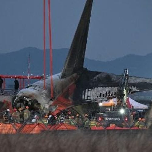 Coreia do Sul vai turbinar aeroportos para evitar choque com pássaros