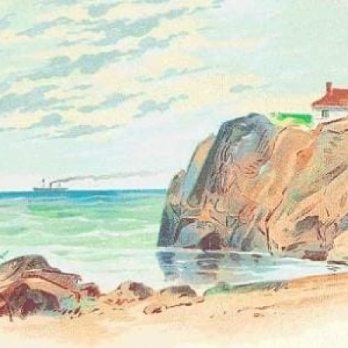 Você consegue enxergar os quatro animais escondidos nesta imagem?