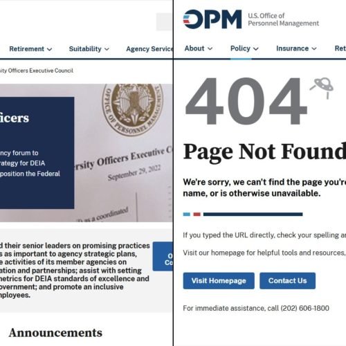 Em 1ª ação, departamento de Musk tira do ar site de agência pró-diversidade: ‘Progresso’ | Mundo