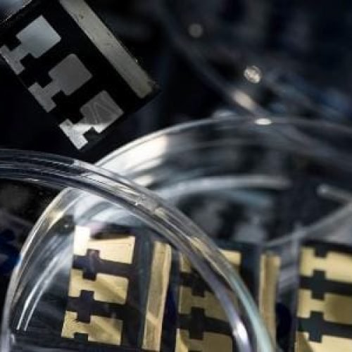 Brasil está na corrida pelas células que vão revolucionar a energia solar