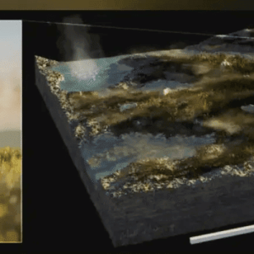 O organismo gigante que dominou a Terra e ainda desafia a ciência