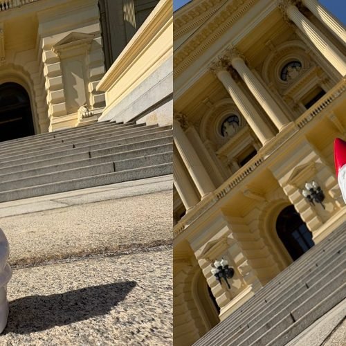 Fotografia com o celular de ponta-cabeça: a imagem fica melhor ou é só um mito?