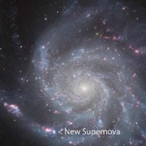 Astrônomo amador descobre supernova na nossa vizinhança