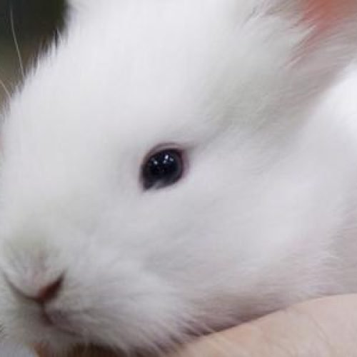 44 frases alegres para compartilhar agora