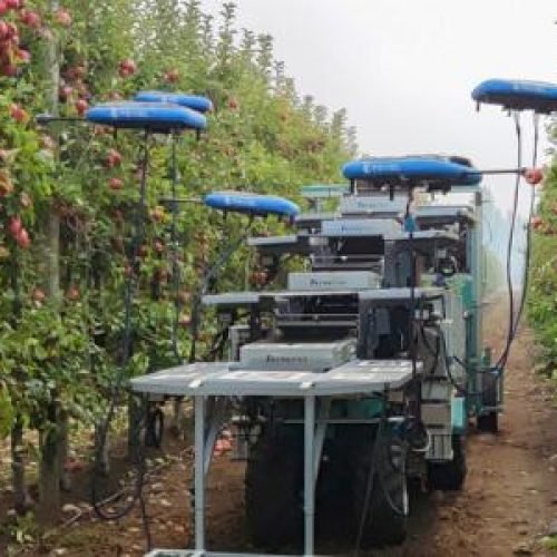 Robôs com braços mecânicos e ventosas são programados para colher frutas