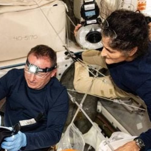 Nasa e SpaceX lançam missão para trazer astronautas de volta