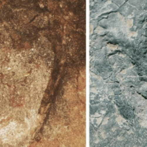 Onde surgiram os dinossauros? Cientistas descobrem nova resposta