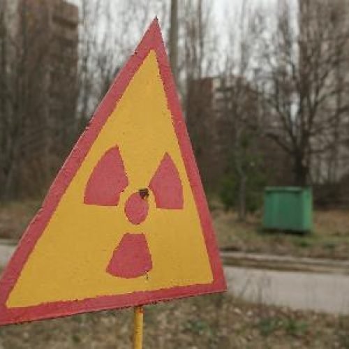 conheça os fungos que comem radiação