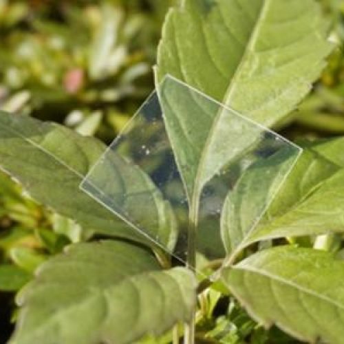 Plástico do futuro? Cientistas criam material que some no mar