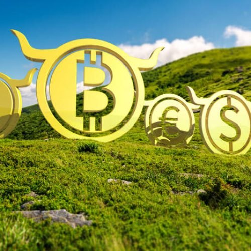 Rapid Assault on the Crypto Market