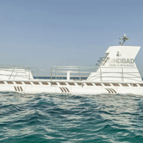 Qual a diferença entre um submarino e um submersível?