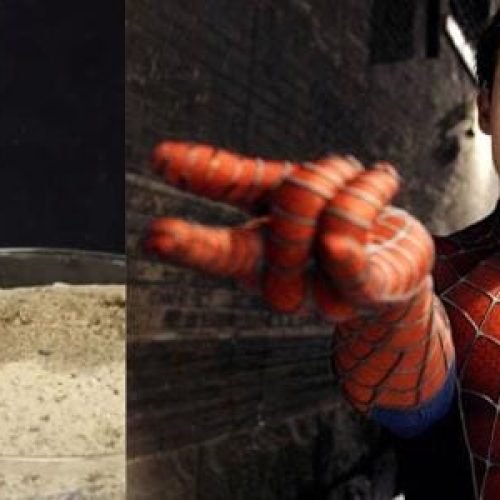 Cientistas criam teia do Homem-Aranha da vida real