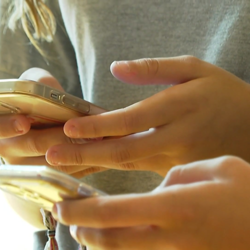 Como se cadastrar no Celular Seguro? E como será o aviso para aparelhos roubados?